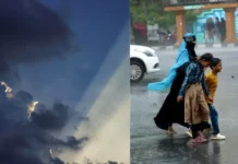 1 जुलाई के बाद फिर सक्रिय होगा मानसून, देश के कई हिस्सों में तेज बारिश के संकेत: IMD
