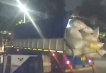 10 Circular Road खाली करेंगी राबड़ी देवी? आज खत्म हो रही डेडलाइन, प्रशासनिक कार्रवाई पर टिकी निगाहें
