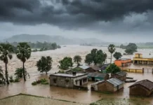 Odisha Rain: ओडिशा में मूसलाधार बारिश से बिगड़े हालात, नदियां उफान पर; 5 जिलों में स्कूल-आंगनबाड़ी बंद, प्रशासन अलर्ट पर