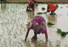 वाराणसी समेत पूर्वांचल में झमाझम बारिश, मानसून ने दी गर्मी से राहत; बढ़ी नमी