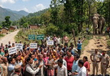 हाथी के हमले में घायल महिला की मौत, ग्रामीणों में आक्रोश
