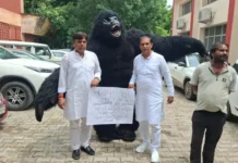 गोरिल्ला का वेश धारण कर बैठक में पहुंचे जिला पार्षद, सोनीपत के मुद्दों पर उठाई आवाज