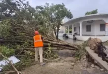 Cyclone Arnab Live: आंध्र प्रदेश में चक्रवात का कहर, 3 लोगों की मौत; 50 से ज्यादा ट्रेनें और उड़ानें रद्द