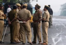 राजस्थान के उदयपुर में बड़ी कार्रवाई, 200 करोड़ के गांजे की अवैध खेती नष्ट; एंटी-नारकोटिक्स टास्क फोर्स का एक्शन